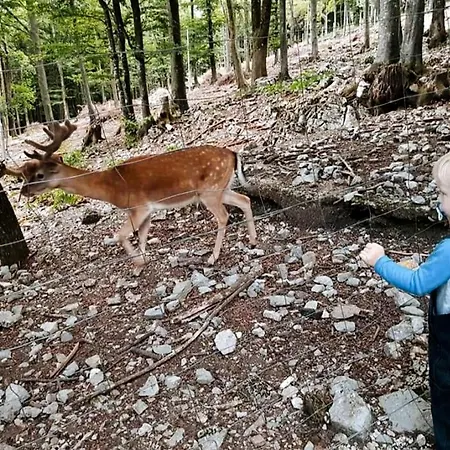 Kuca Za Odmor Stella *